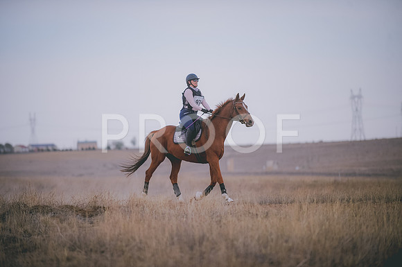 JJS_6138