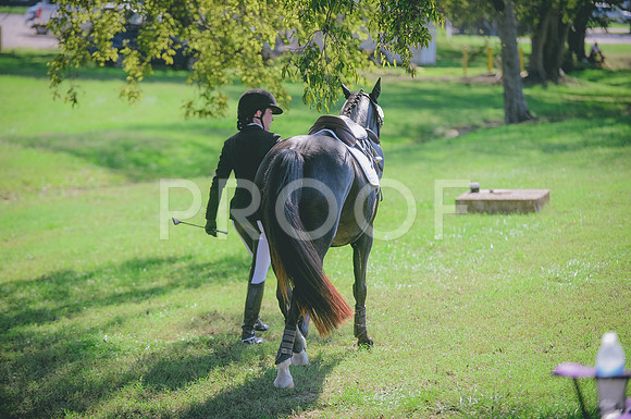 JJS_2349