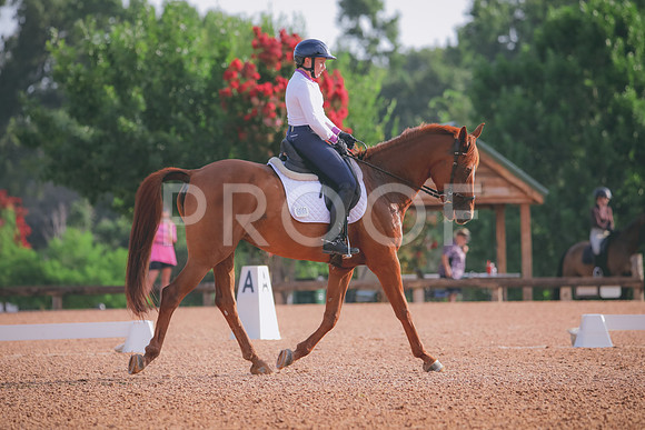 RWP_4311
