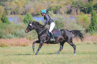 861A4117