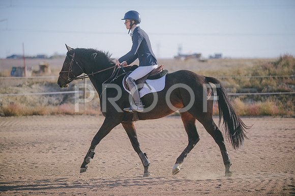 JJS_7651