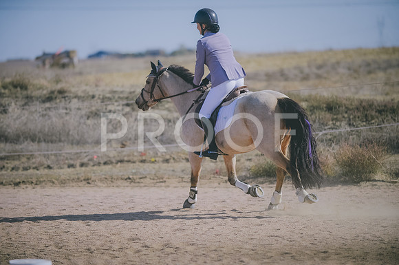 JJS_3546
