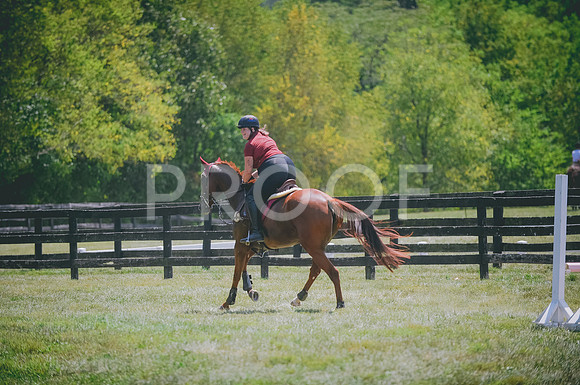 JJS_4845