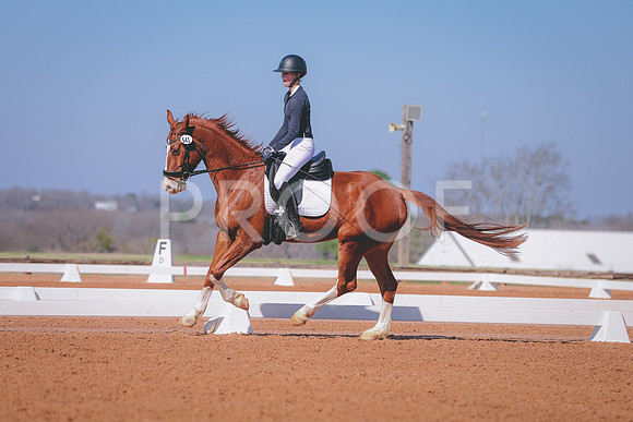 CDP_2352