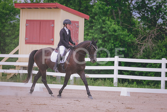 HLJ_4113