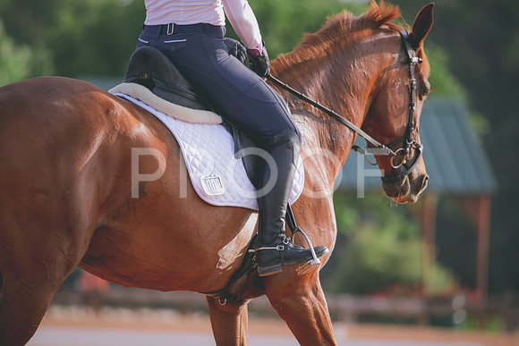RWP_4270