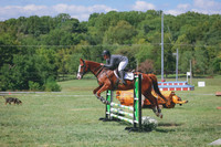 3T5A4044