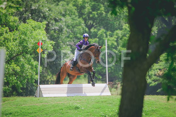 RWP_4007