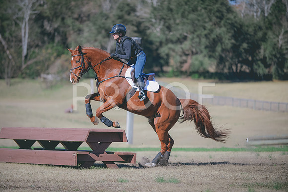 JJS_0279