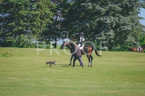 JJS_3368