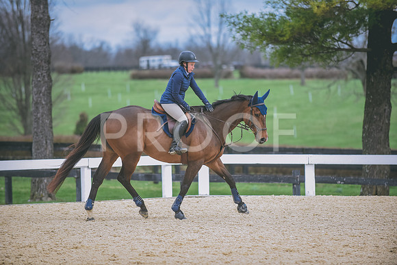 DSC_0302 copy
