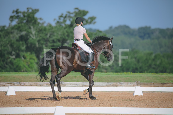 RWP_4634