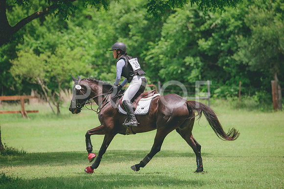 RWP_2542