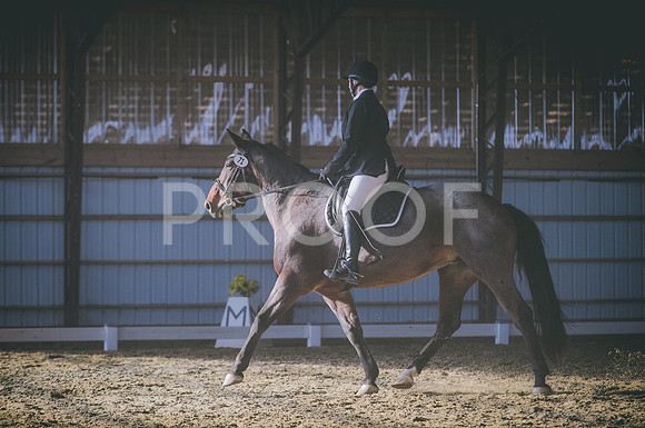 JJS_2916