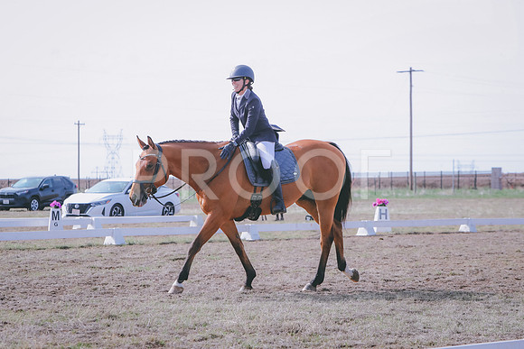 CDH_6519