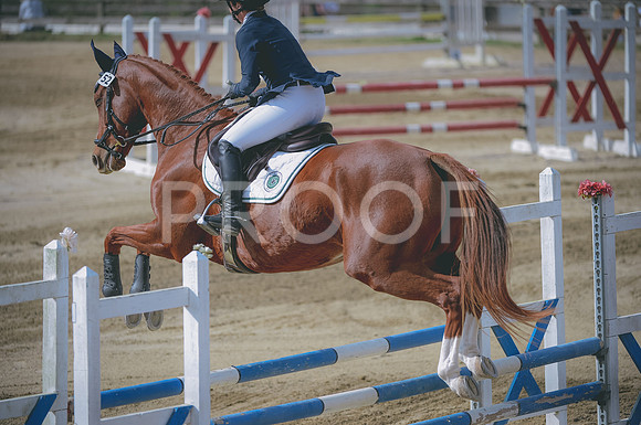 JJS_3465