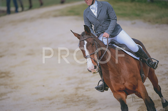 JJS_0328