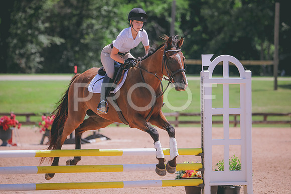 RWP_5351