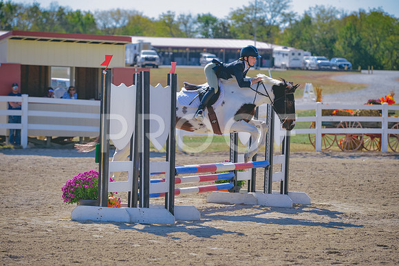 DSC_4490