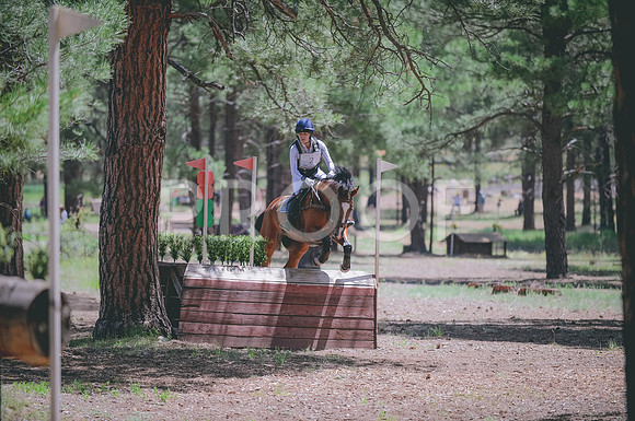 JJS_1732