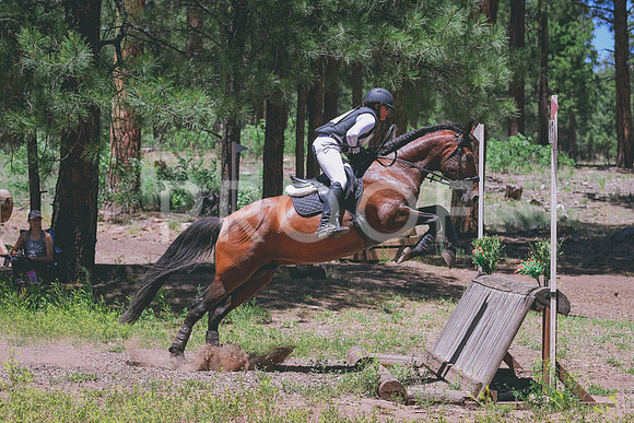 DSC_0484