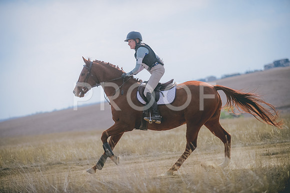 JJS_1826