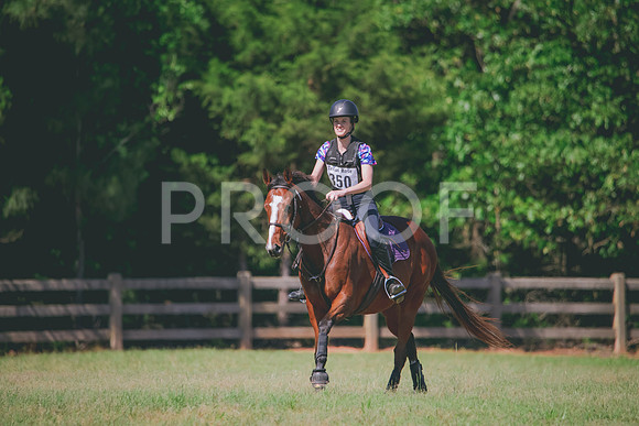 RWP_1273