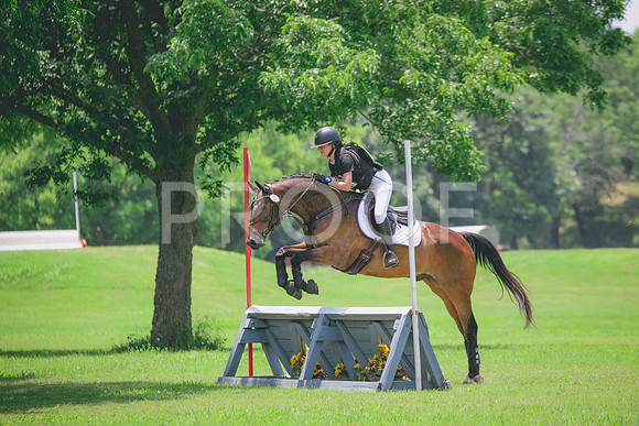 RWP_3323