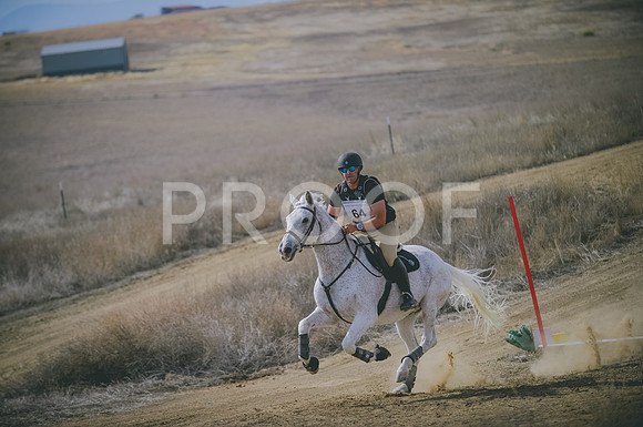 JJS_0681