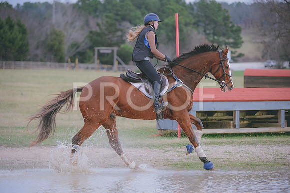JJS_2451