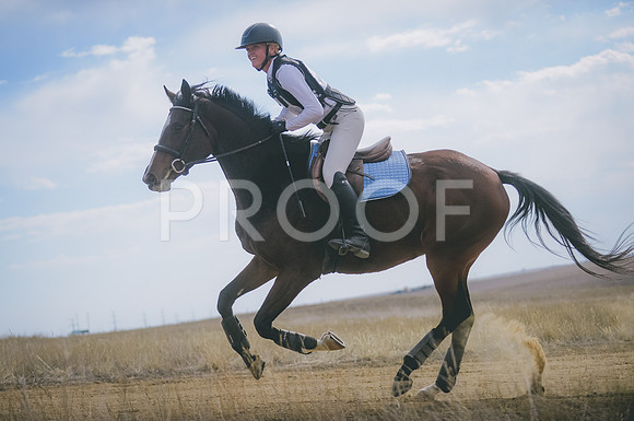 JJS_1205