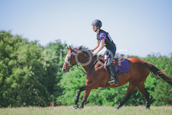 RWP_1279