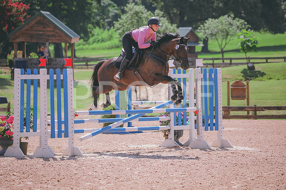 RWP_5119