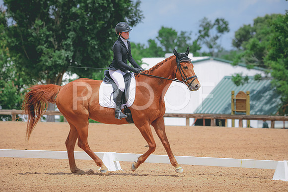 RWP_4546