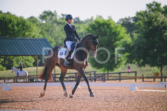 RWP_9019