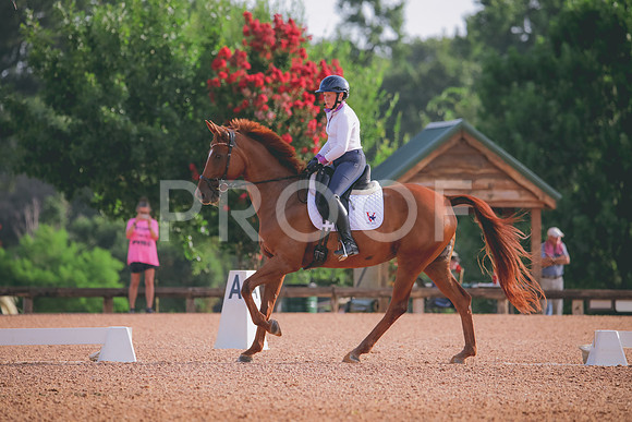 RWP_4277