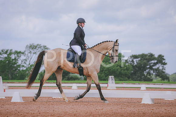 RWP_4462