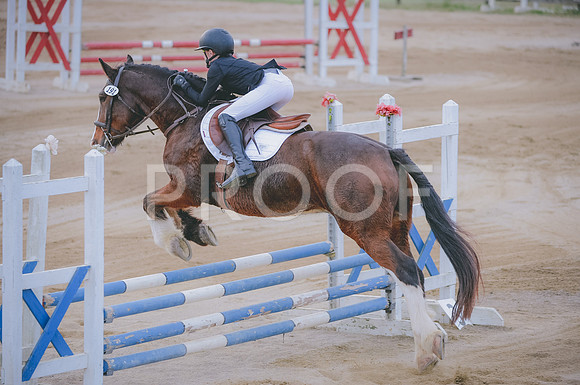 JJS_3459