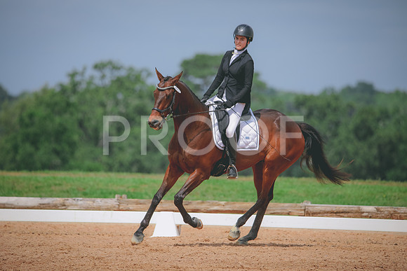 RWP_4315
