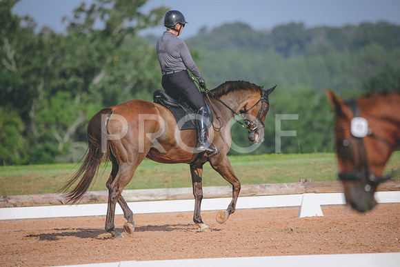 RWP_4520