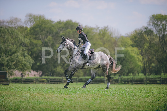 JJS_8218