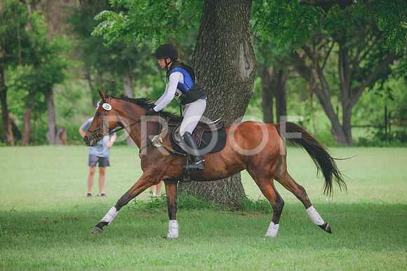 RWP_2445
