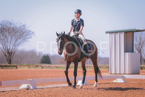 CDP_2964
