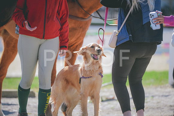 JJS_0213