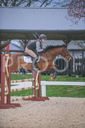 DSC_0205 copy