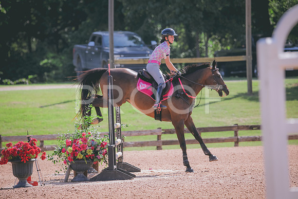 RWP_4784