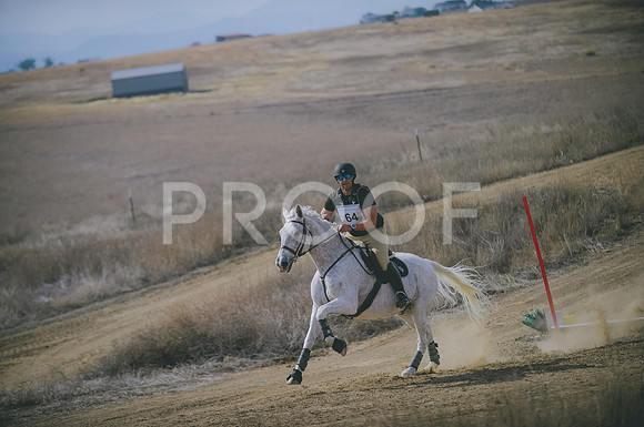 JJS_0682A