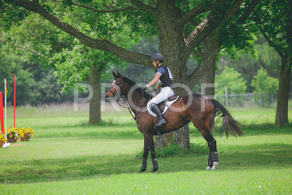 RWP_2661