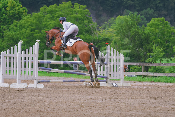 DSC_1563