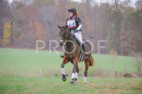 JJS_0393